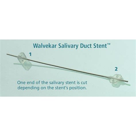 Salivary stent